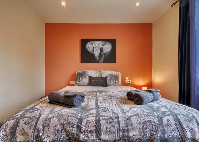 Apartment 006 - Le Corum 2 Chambres, Parking, Wifi, Clim, Centre